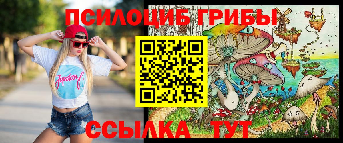 Псилоцибиновые грибы MAGIC MUSHROOMS  Псилоцибиновые грибы MAGIC MUSHROOMS  цена   Кунгур  Вход с VPN 
