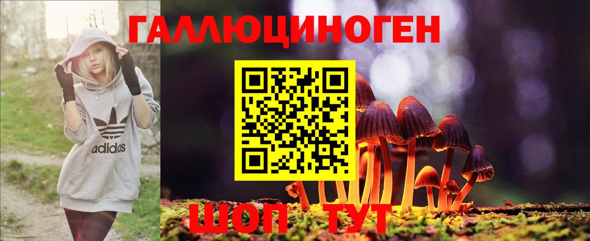 Галлюциногенные грибы MAGIC MUSHROOMS Кунгур