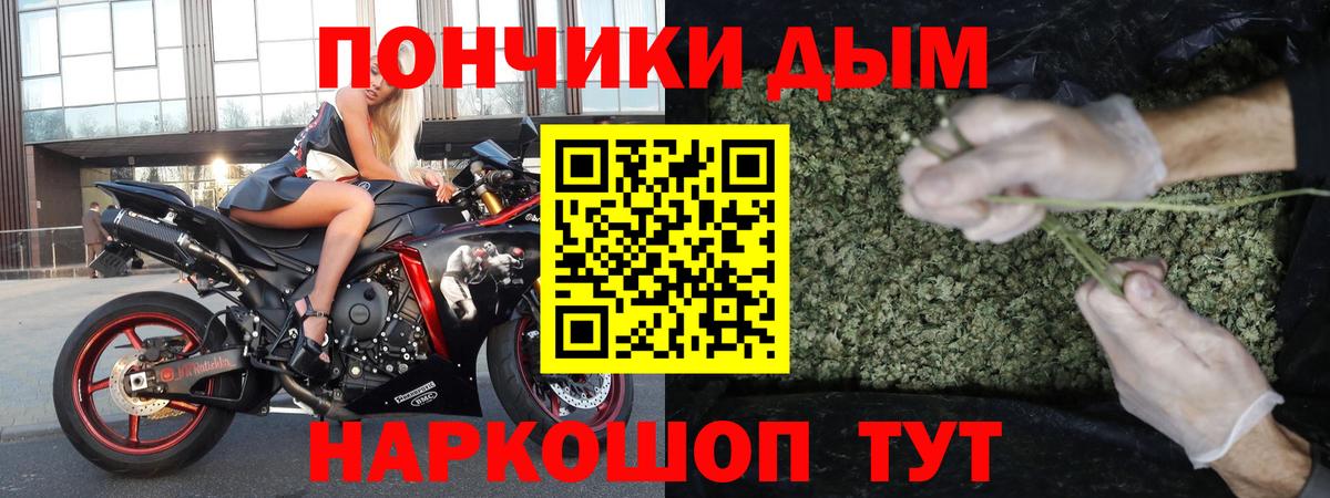 Бошки Шишки план Кунгур